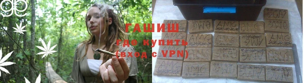 гашик Вяземский