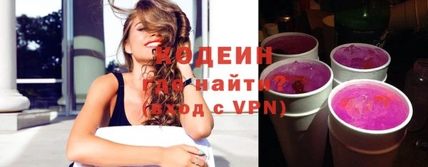 гашик Вяземский