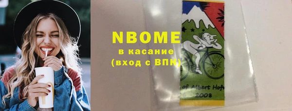 гашик Вяземский