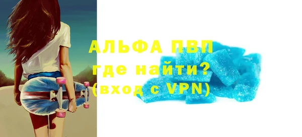 гашик Вяземский
