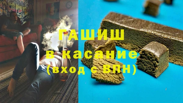 гашик Вяземский