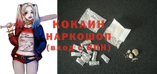 гашик Вяземский