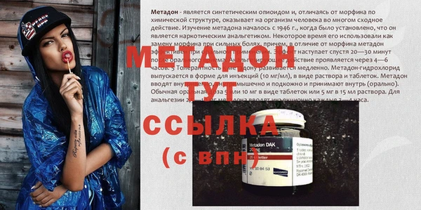 гашик Вяземский