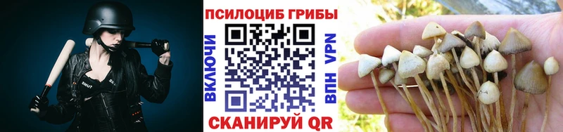 Псилоцибиновые грибы Psilocybine cubensis Купить Белореченск